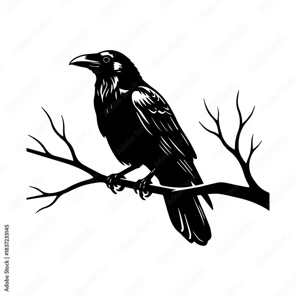 Naklejka premium A striking black vector silhouette of a wise-looking crow or raven perched on a bare, stylized branch. This detailed, graphic design conveys mystery, intelligence, and a connection to the wild.