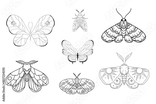Celestial moth, butterfly line magic mystical tattoo set. Universe wing moth. Celestial occult moon sketch. Line animal drawing design. Esoteric totem boho insect with space wings.