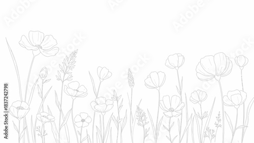 Elegant minimalist outline drawing of delicate wildflowers and tall grass perfect for sophisticated nature designs
