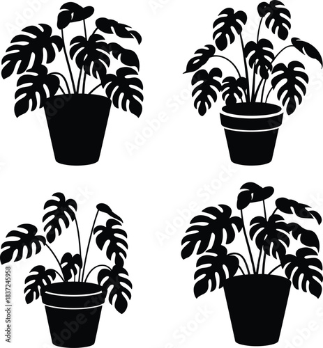Black monstera houseplant silhouette set in pots, modern tropical botanical vector illustration for interior decoration, wall art, branding design