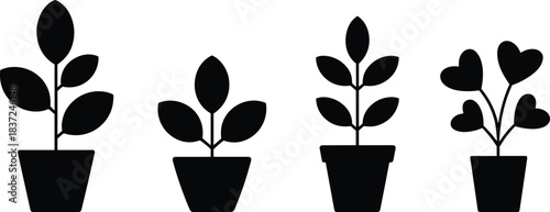 Minimal potted plant silhouettes, modern indoor houseplant icons, black and white botanical vector set for home decor design collection illustration
