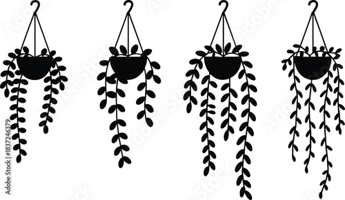 Minimal hanging plant silhouettes, trailing vine houseplants, modern boho wall decor illustration, black and white botanical design for interior styling