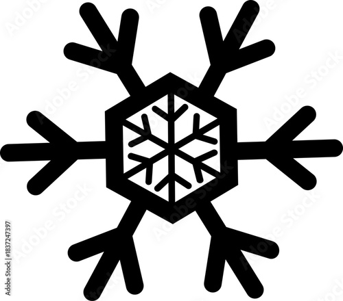 눈꽃송이의 결정