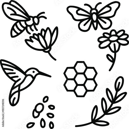 Pollinators Outline Icon Set  Bees, Butterflies, and Flowering Plants
