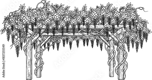 botanical archway natures grand design unfurling in monochrome serenity, isolated on transparent background
