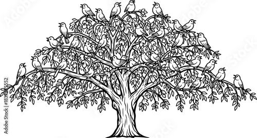 chorus of the branches natures harmonious gathering sings a vibrant song, isolated on transparent background