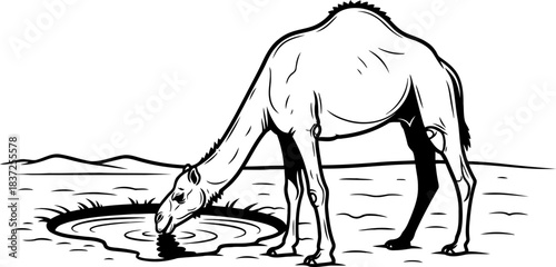 deserts embrace vital waters sustaining ancient journeys and enduring spirits, isolated on transparent background