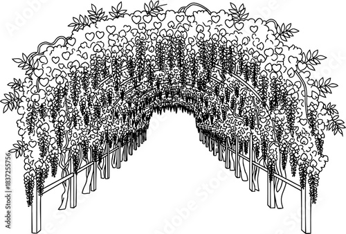 heartfelt canopy a wisteria archway guiding through natures love story, isolated on transparent background