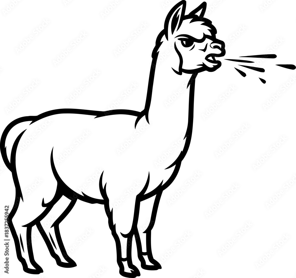 Obraz premium no filter alpacas unapologetic expression of displeasure and quirky defiance, isolated on transparent background