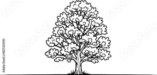 natural legacy a simple emblem of growth, stability, and our planets enduring spirit, isolated on transparent background