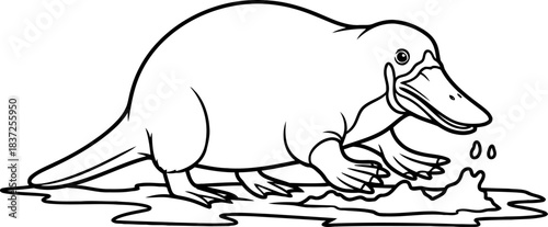 paddles and bill natures whimsical blend, the platypus in its element, isolated on transparent background