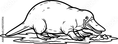 paddler of paradox an iconic platypus explores wetlands in artistic simplicity, isolated on transparent background