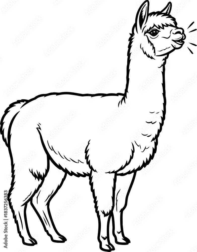 Naklejka premium andean echo playful llamas bold call, whimsical charm unveiled, isolated on transparent background