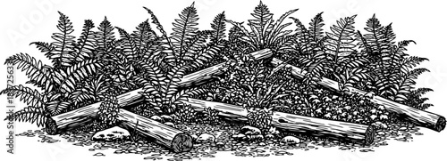 verdant relics a monochrome journey through untamed forest depths, isolated on transparent background