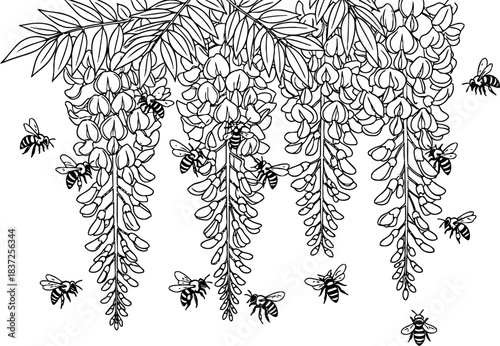 vibrant harmony busy bees and wisteria blossoms in a dance of essential connection, isolated on transparent background