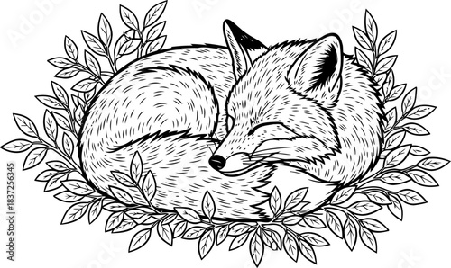 whispers of the wild a tranquil forest fox in serene slumber, isolated on transparent background