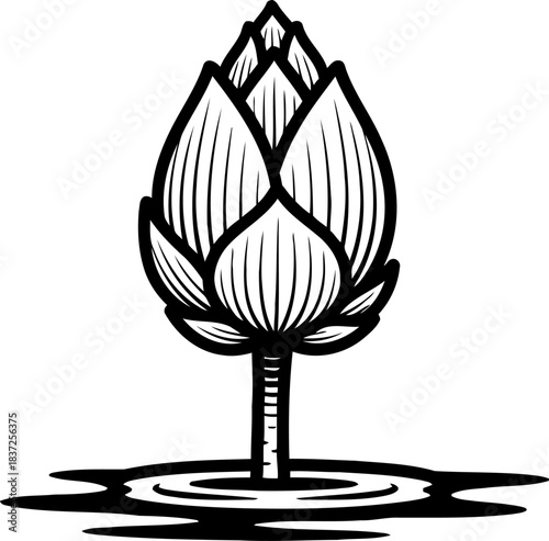 zen awakening the silent rise of inner peace from still waters, isolated on transparent background
