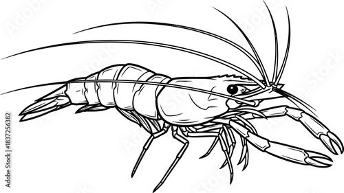 aqua delicacys blueprint a minimalist ode to the oceans refined crustacean elegance, isolated on transparent background