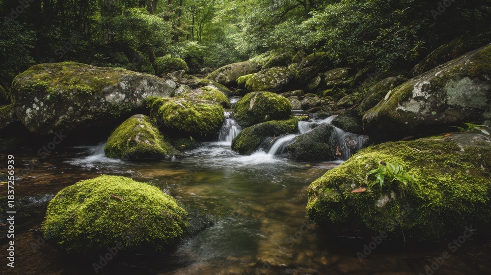 Fototapeta premium Tranquil Stream Flowing Through Lush Green Forest with Moss-Covered Rocks and Gentle Waterfalls Surrounded by Vibrant Nature in a Serene Landscape