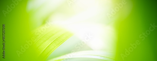 Naturally inspired, beautifully created — feel the calm of green serenity