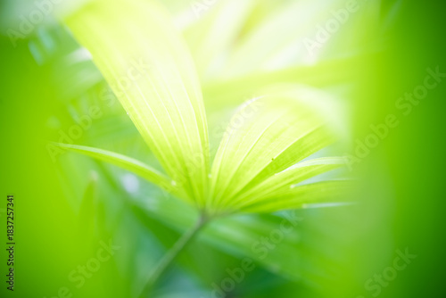 Naturally inspired, beautifully created — feel the calm of green serenity