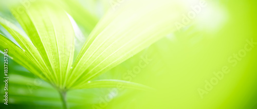 Naturally inspired, beautifully created — feel the calm of green serenity