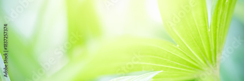 Naturally inspired, beautifully created — feel the calm of green serenity