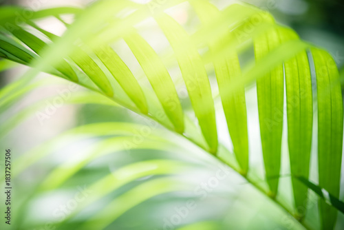 Naturally inspired, beautifully created — feel the calm of green serenity