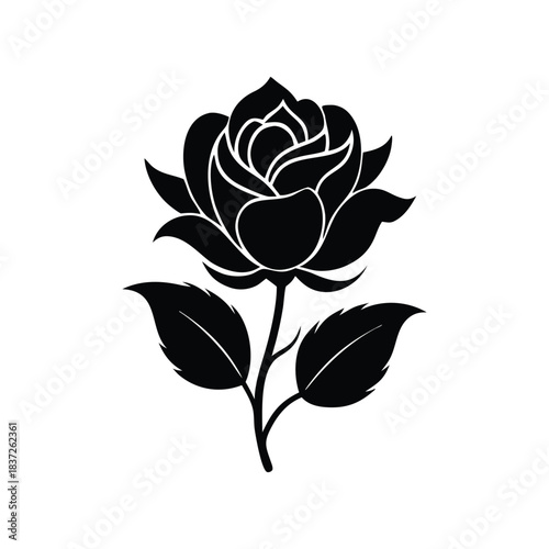 Rose Flower Vector Design  Decorative Golap Illustration