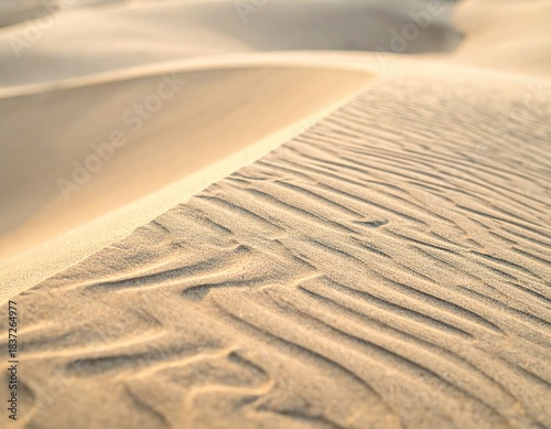 Fototapeta Naklejka Na Ścianę i Meble -  Textured sand dunes, rippled surface in warm sunlight