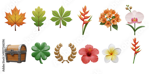 set of flowers and leaves