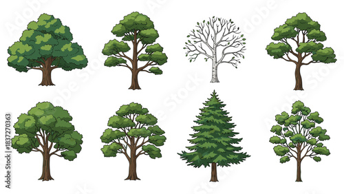 Collection of eight diverse illustrated trees, featuring deciduous and evergreen varieties.