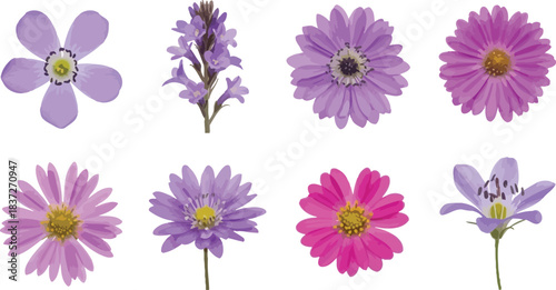 Collection of vibrant purple and pink flowers with distinct petals, isolated on a clean white background, showcasing botanical variety and delicate beauty