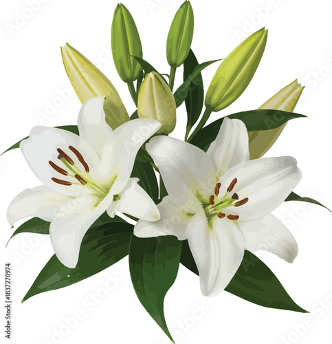 Elegant white lily bouquet with fresh green leaves and unopened buds, a serene floral arrangement symbolizing purity and new beginnings.