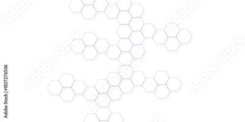 Abstract white hexagon concept background. Modern pattern polygon art in illustration art background.  geometry science and technology.