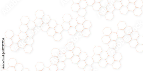 Abstract white hexagon concept background. Modern pattern polygon art in illustration art background.  geometry science and technology.