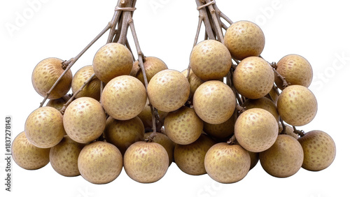 Longan Fruits on Branch, Isolated on White