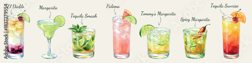 Watercolor tequila cocktail set, isolated vector illustrations with margarita and popular bar drinks