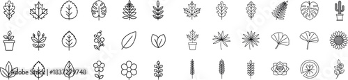 Collection of hand drawn decorative flourishes and dividers for design elements