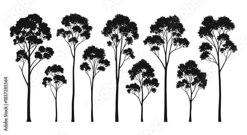 Striking black silhouette collection of diverse tall eucalyptus trees perfect for modern nature designs