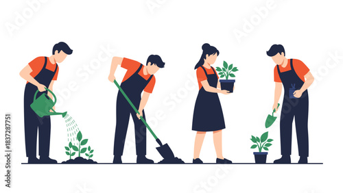 Four people planting and caring for small green plant seedling