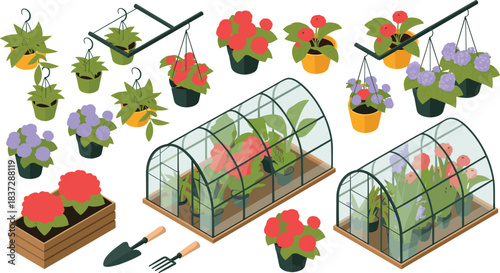 Isometric illustration of greenhouse with blooming flowers, potted plants, hanging baskets and gardening tools, showcasing floral cultivation and horticulture setup