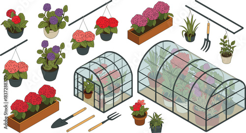 Isometric illustration of greenhouse with blooming flowers, potted plants, hanging baskets and gardening tools, showcasing floral cultivation and horticulture setup