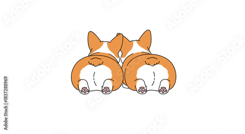 Minimalist and funny illustration of two cute cartoon corgi dog butts seen from behind isolated on a clean white background.