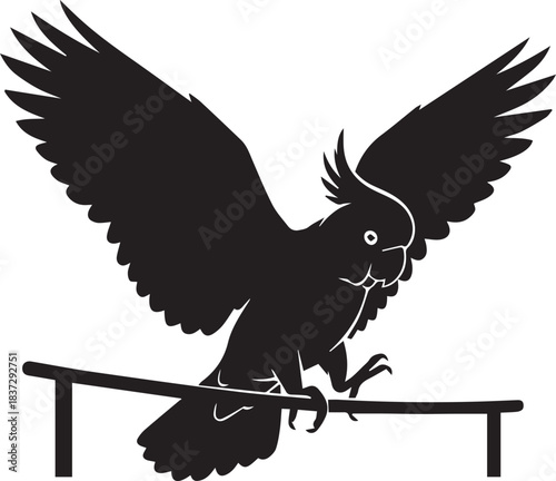 Silhouette of a cockatoo bird with wings spread landing on a perch