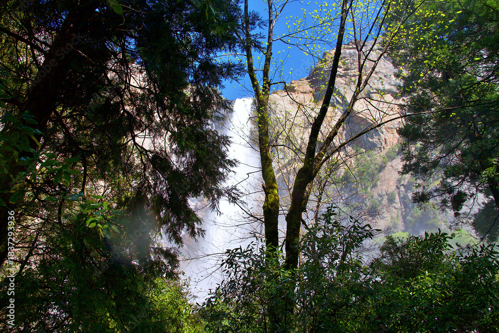 Obraz premium water fall at the forest