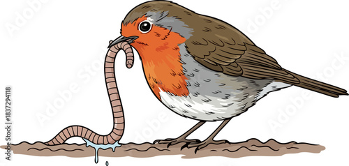 dawns persistent reward a robins timeless pursuit of vital sustenance, isolated on transparent background