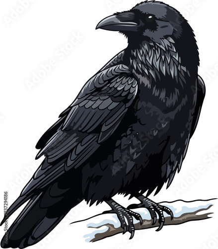dark oracle the ravens piercing insight amidst winters quiet realm, isolated on transparent background