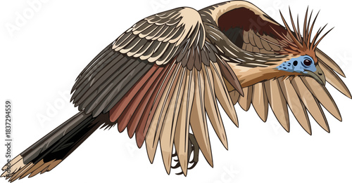 amazons living relic hoatzins ancient spirit takes flight in verdant wetlands, isolated on transparent background