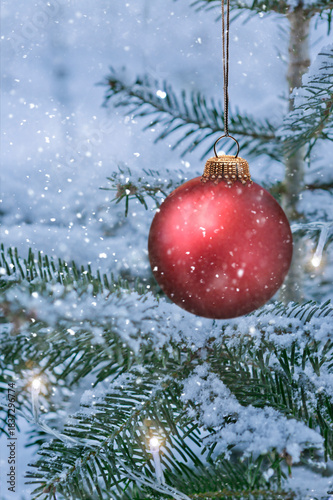 Rote Weihnachtskugel an einem Tannenzweig